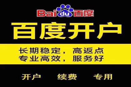 解析某某SEM服务公司的广告投放策略与效果评估